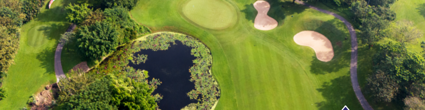 Handicap in JUNE, 2025